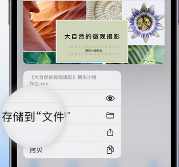 科尔沁左翼中apple维修中心分享iPhone文件应用中存储和找到下载文件