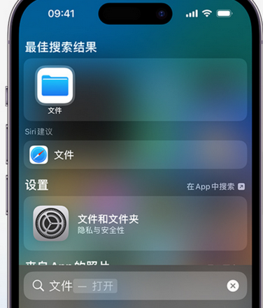 科尔沁左翼中apple维修中心分享iPhone文件应用中存储和找到下载文件 