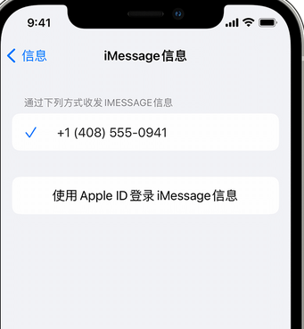 科尔沁左翼中apple维修iPhone上无法正常发送iMessage信息 