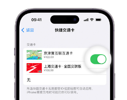 科尔沁左翼中apple维修点分享iPhone上更换Apple Pay快捷交通卡手绘卡面 