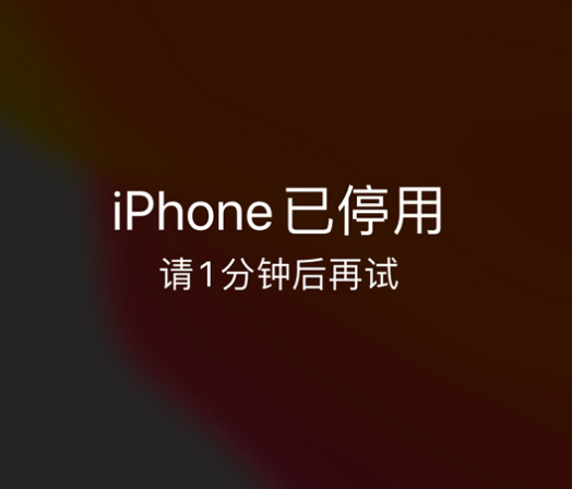 科尔沁左翼中苹果手机维修分享:iPhone 显示“不可用”或“已停用”怎么办？还能保留数据吗？ 