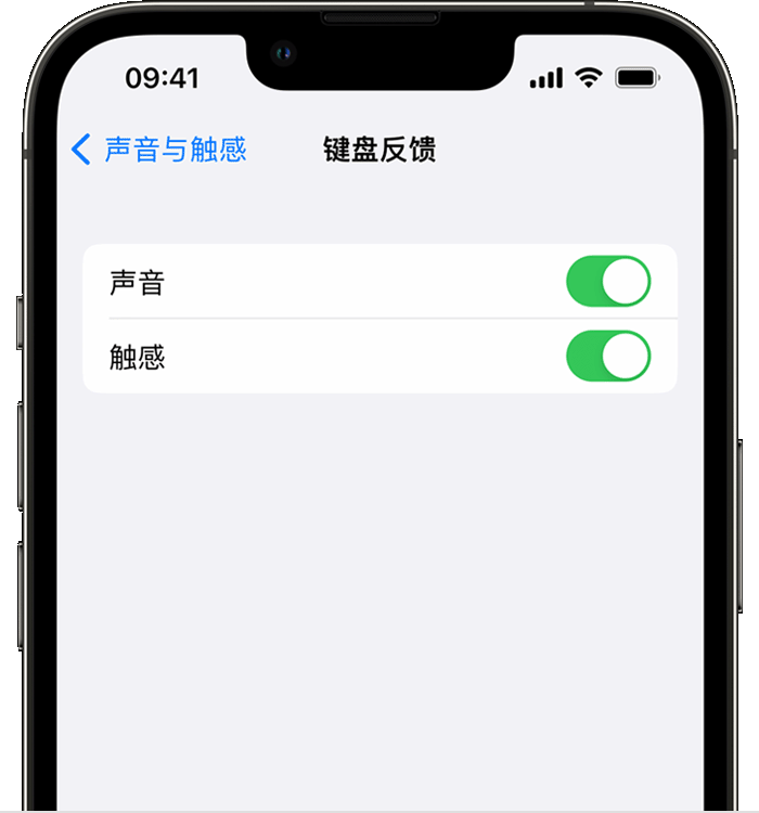 科尔沁左翼中苹果14维修店分享如何在 iPhone 14 机型中使用触感键盘 