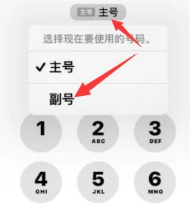 科尔沁左翼中苹果14维修店分享iPhone 14 Pro Max使用副卡打电话的方法 