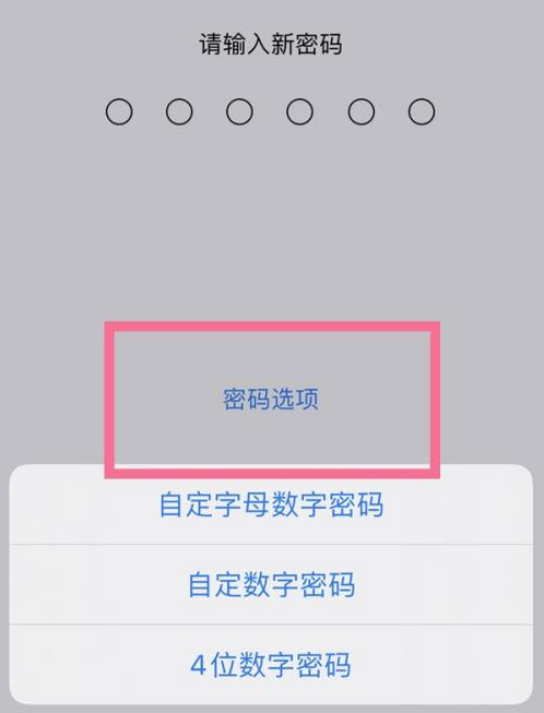 科尔沁左翼中苹果14维修分享iPhone 14plus设置密码的方法 