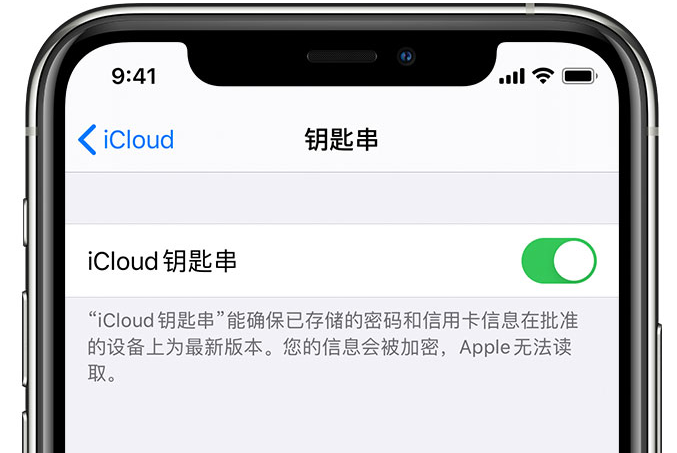 科尔沁左翼中苹果手机维修分享在 iPhone 上开启 iCloud 钥匙串之后会储存哪些信息 