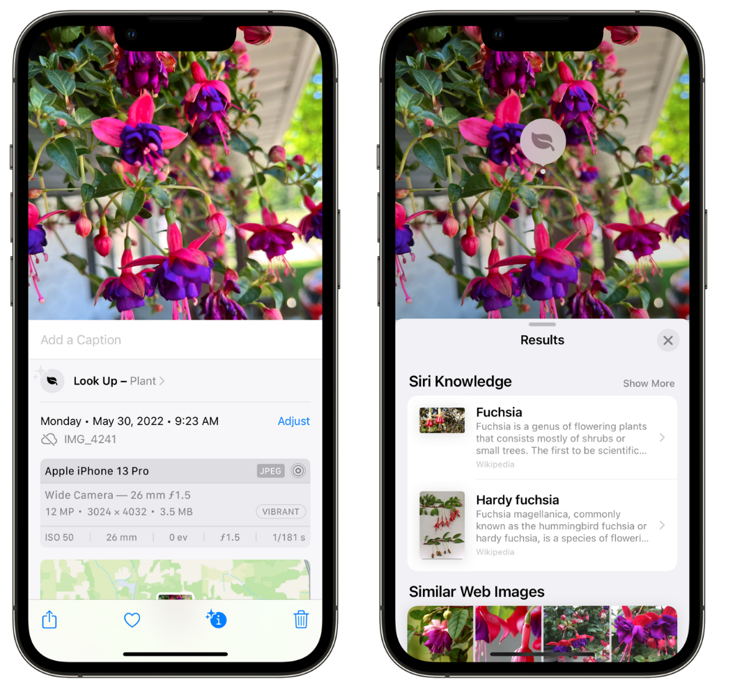 科尔沁左翼中苹果手机维修分享小技巧：使用 iPhone 相机识别花卉植物 
